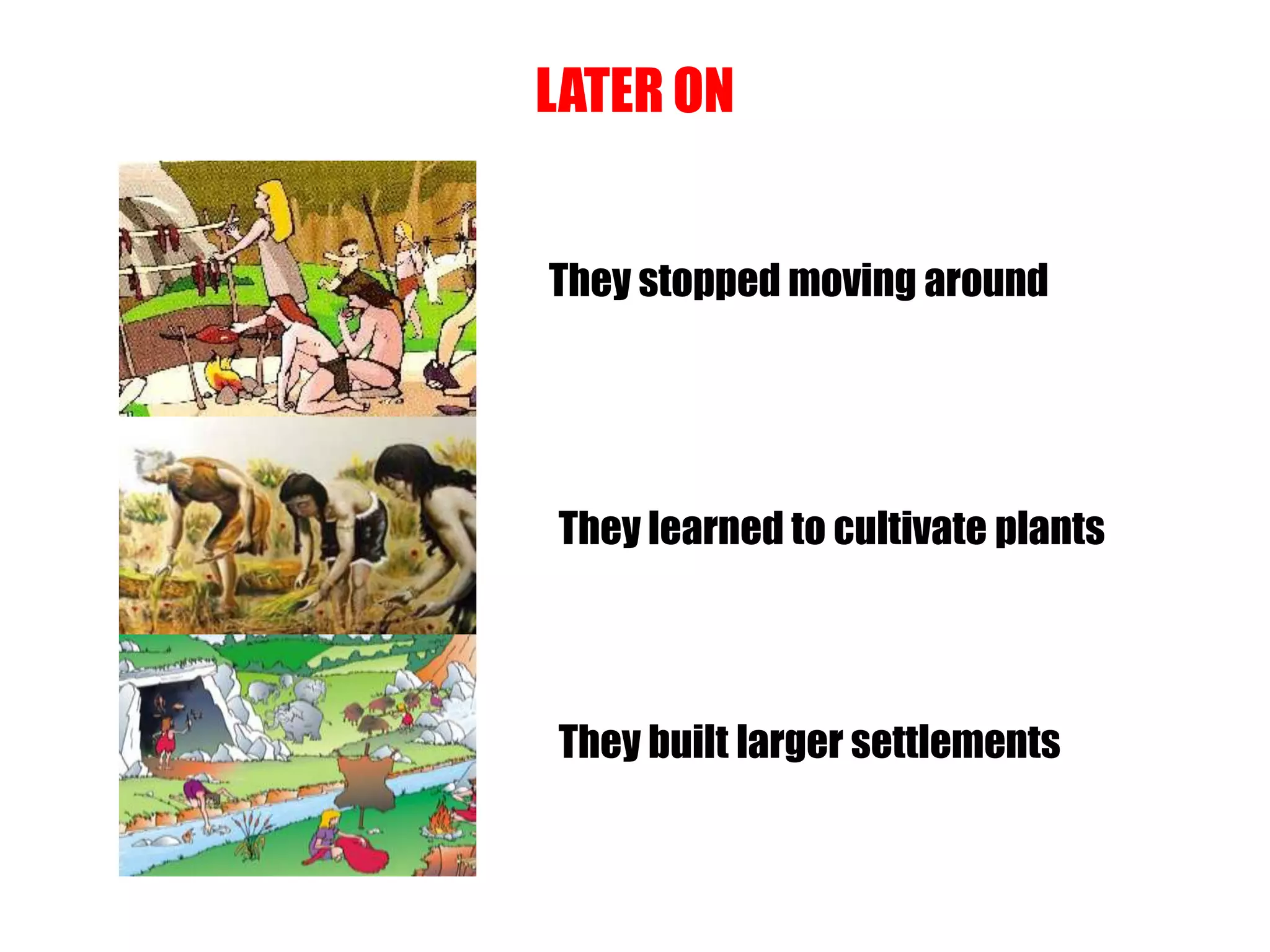 LATER ON
They stopped moving around
They learned to cultivate plants
They built larger settlements