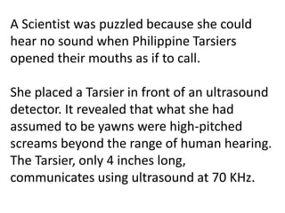 Read more about Tarsiers!
 