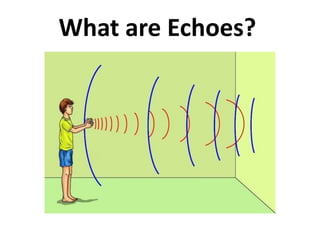 What are Echoes?
 