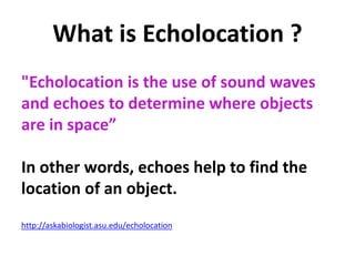 What is Echolocation ?
"Echolocation is the use of sound waves
and echoes to determine where objects
are in space”
In other words, echoes help to find the
location of an object.
http://askabiologist.asu.edu/echolocation
 