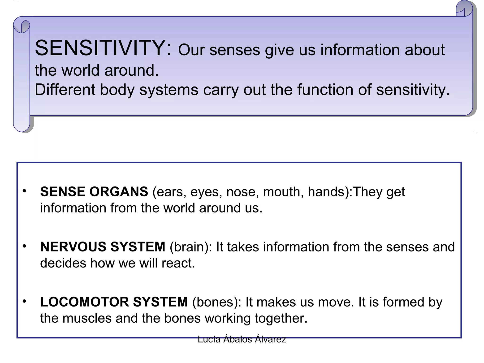 Science body systems year 3 easy | PPT