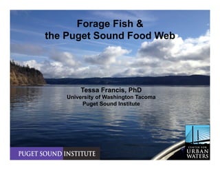 Tessa Francis, PhD
University of Washington Tacoma
Puget Sound Institute
Forage Fish &
the Puget Sound Food Web
 