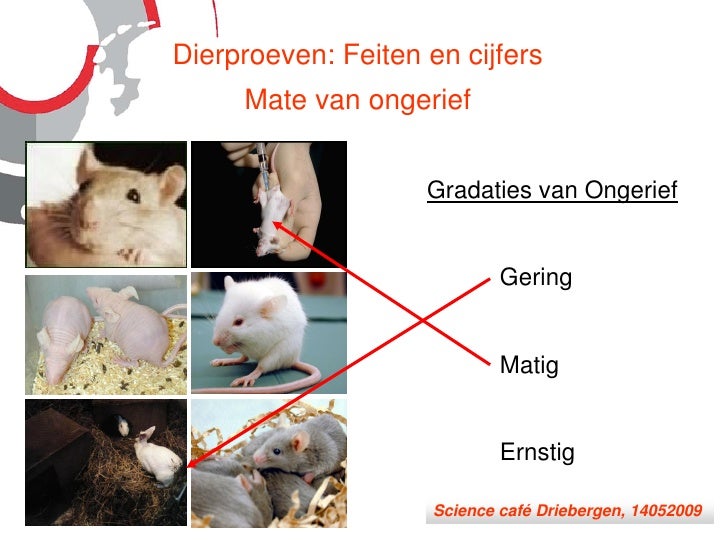 Dierproeven en alternatieven voor dierproeven