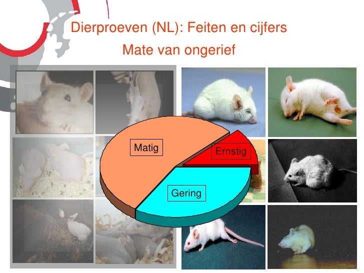 Dierproeven en alternatieven voor dierproeven