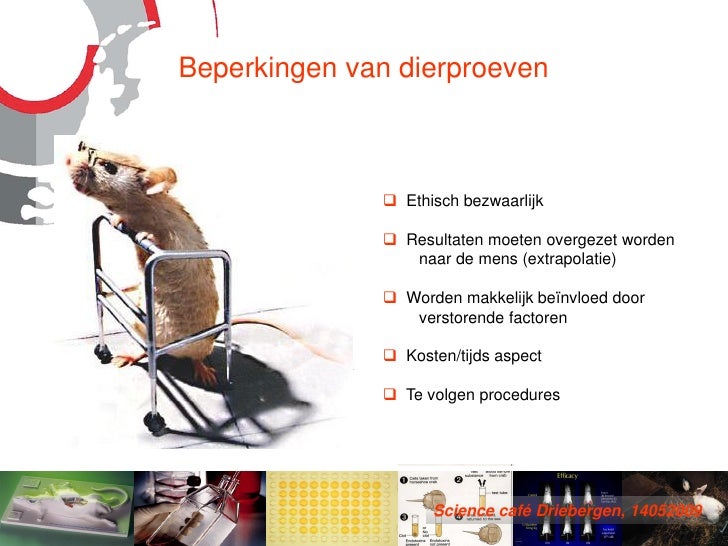 Dierproeven en alternatieven voor dierproeven