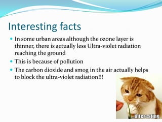 What should we do?????We should check if the goods we buy such as refrigerators don’t have CFCDo projects like this to raise public awareness