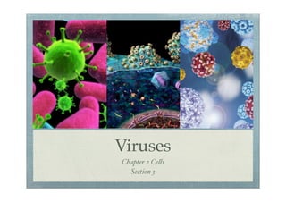 Viruses
Chapter 2 Ce!s
  Section 3
 
