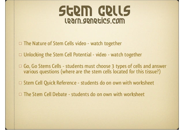 Go go stem cells worksheet