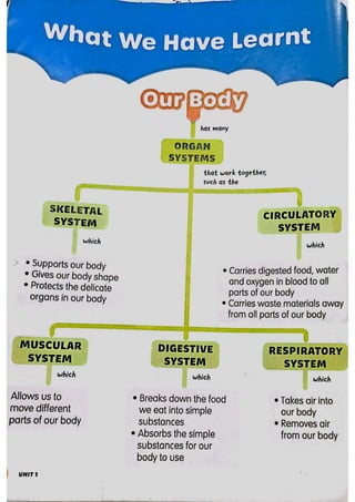 Science Chapter 1 P3 (3).pdf