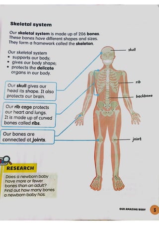 Science Chapter 1 P3 (3).pdf