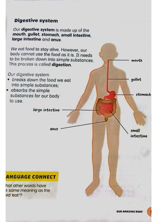 Science Chapter 1 P3 (3).pdf