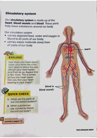Science Chapter 1 P3 (3).pdf
