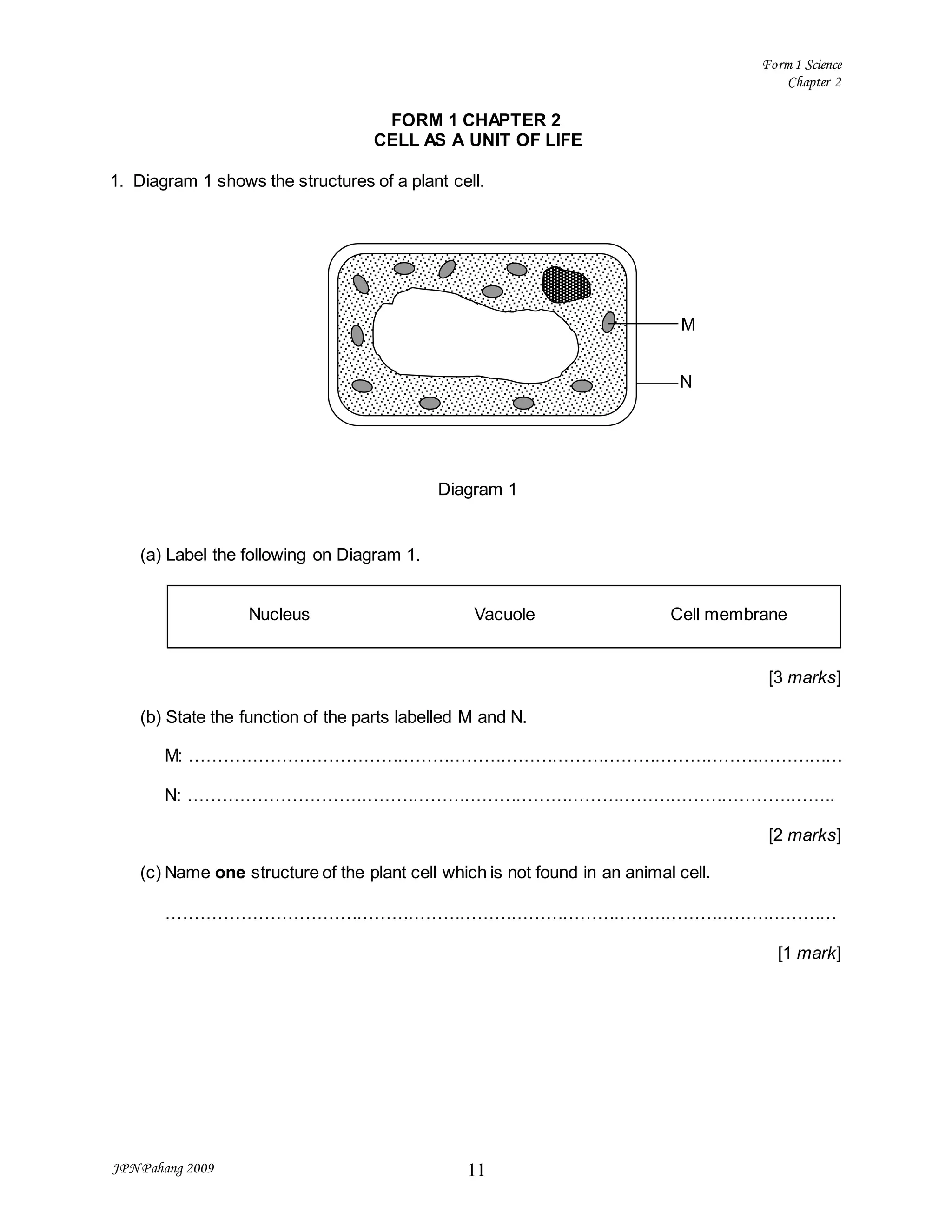 Science chapter 2 | DOC