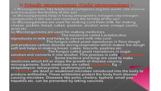 Science Chapter 2 Ppt Pptx