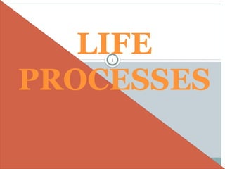 sciencechapter6ppt-1805fgyuy13061946.pptx
