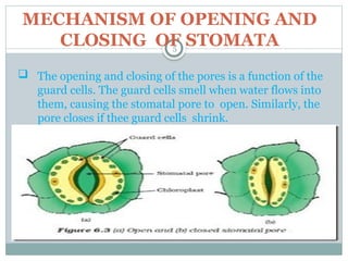 sciencechapter6ppt-1805fgyuy13061946.pptx