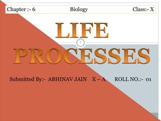 Chapter :- 6 Biology Class:- X
Submitted By:- ABHINAV JAIN X – A ROLL NO.:- 01
1
 