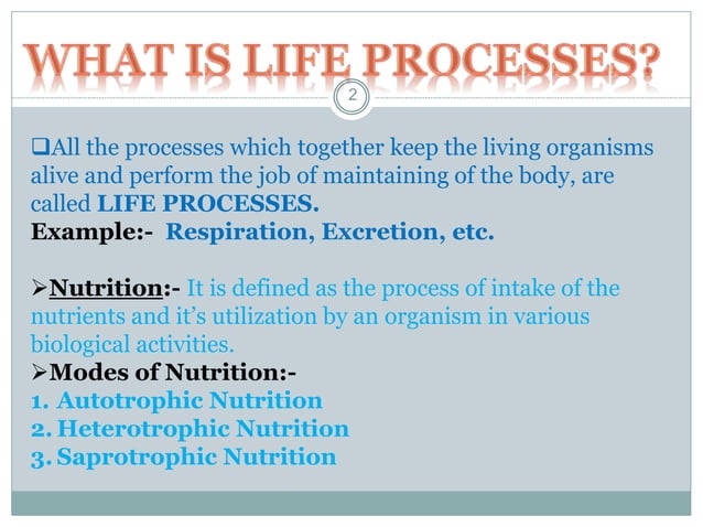 presentation on life processes class 10