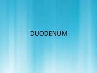 DUODENUM 
 