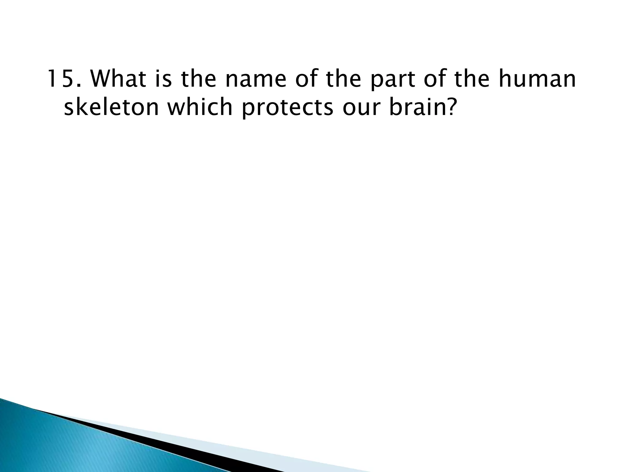 15. What is the name of the part of the human
skeleton which protects our brain?
 