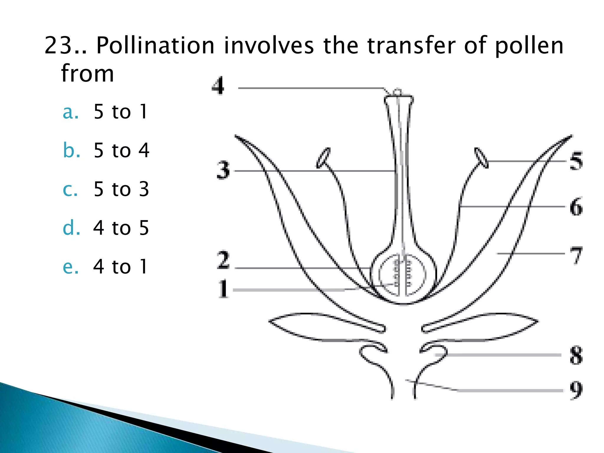 23.. Pollination involves the transfer of pollen
from
a. 5 to 1
b. 5 to 4
c. 5 to 3
d. 4 to 5
e. 4 to 1
 