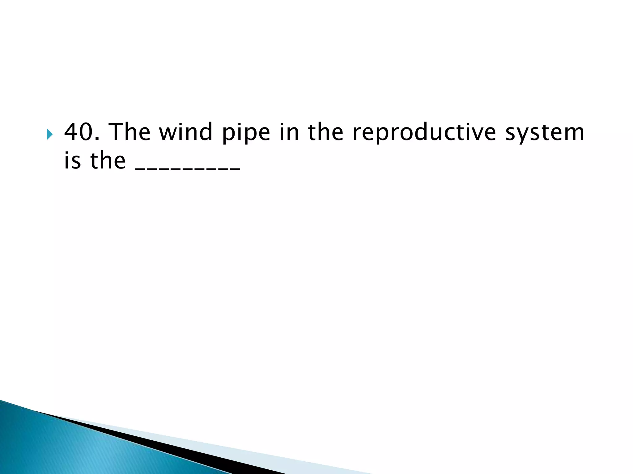  40. The wind pipe in the reproductive system
is the _________
 