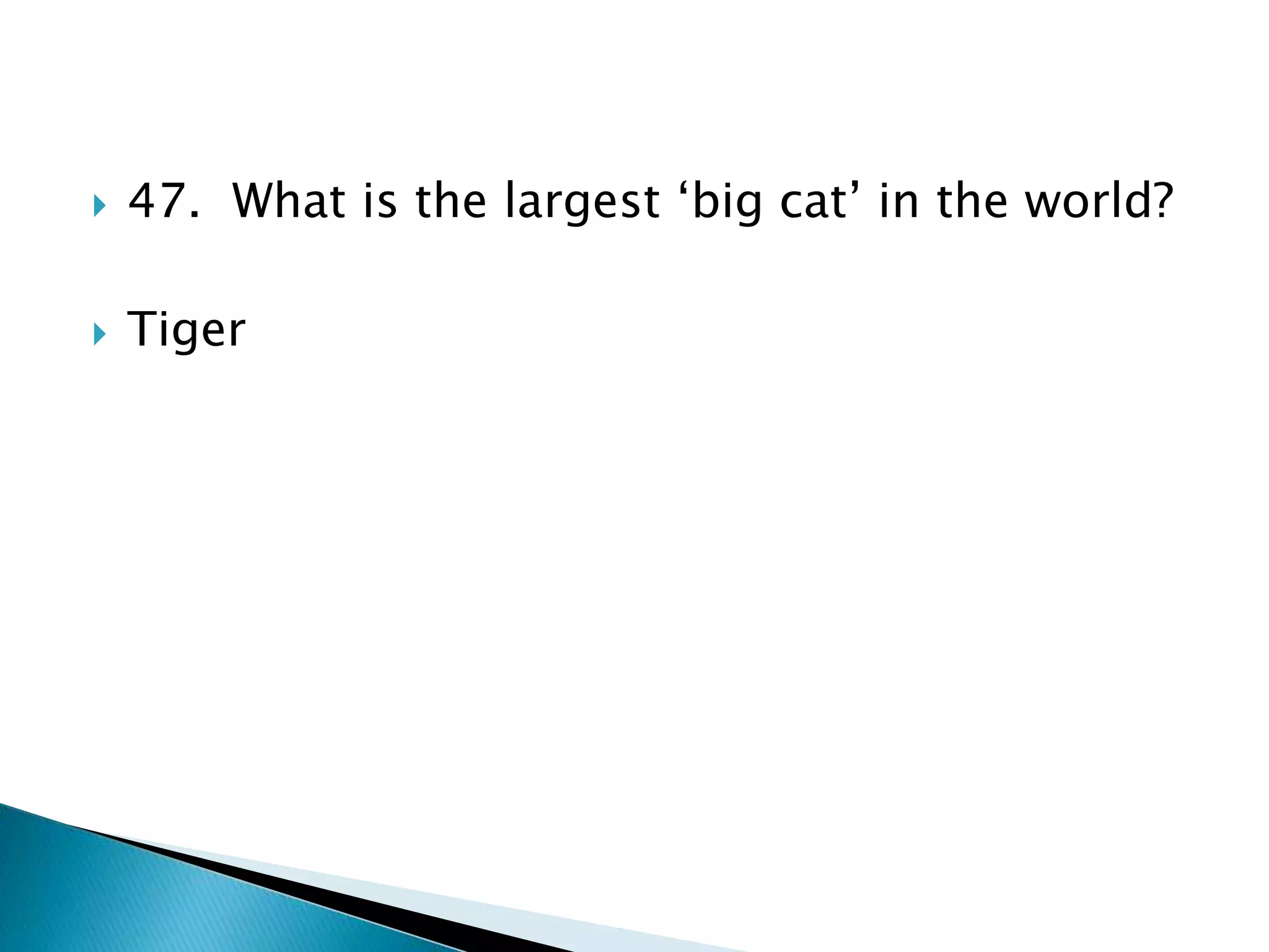  47. What is the largest ‘big cat’ in the world?
 Tiger
 