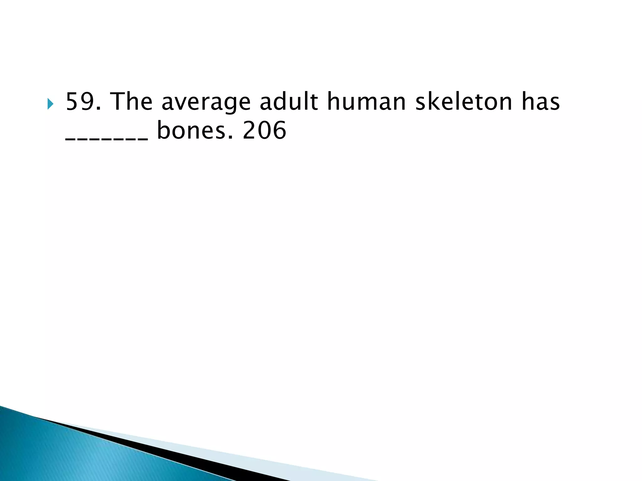  59. The average adult human skeleton has
_______ bones. 206
 