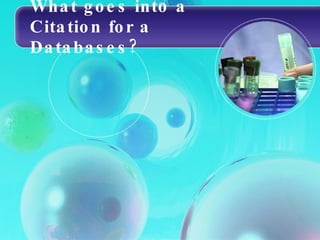 What goes into a Citation for a Databases? 