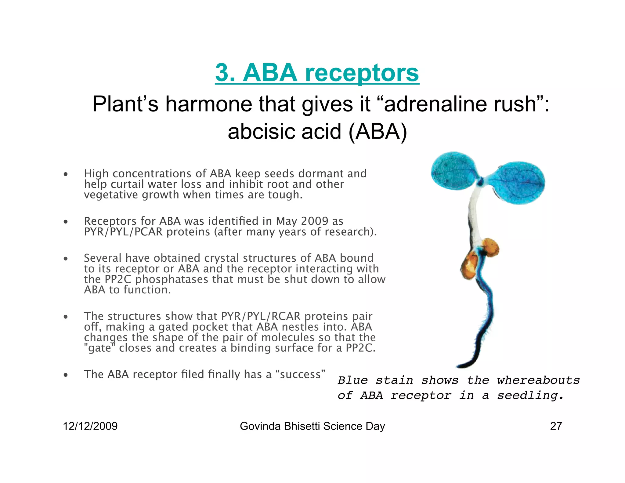 3. ABA receptors
     Plant’s harmone that gives it “adrenaline rush”:
                  abcisic acid (ABA)
•   High concentrations of ABA keep seeds dormant and
    help curtail water loss and inhibit root and other
    vegetative growth when times are tough.

•   Receptors for ABA was identiﬁed in May 2009 as
    PYR/PYL/PCAR proteins (after many years of research).

•   Several have obtained crystal structures of ABA bound
    to its receptor or ABA and the receptor interacting with
    the PP2C phosphatases that must be shut down to allow
    ABA to function.

•   The structures show that PYR/PYL/RCAR proteins pair
    off, making a gated pocket that ABA nestles into. ABA
    changes the shape of the pair of molecules so that the
    gate closes and creates a binding surface for a PP2C.

•   The ABA receptor ﬁled ﬁnally has a “success”
                                                   Blue stain shows the whereabouts
                                                   of ABA receptor in a seedling.

12/12/2009                       Govinda Bhisetti Science Day                  27
 