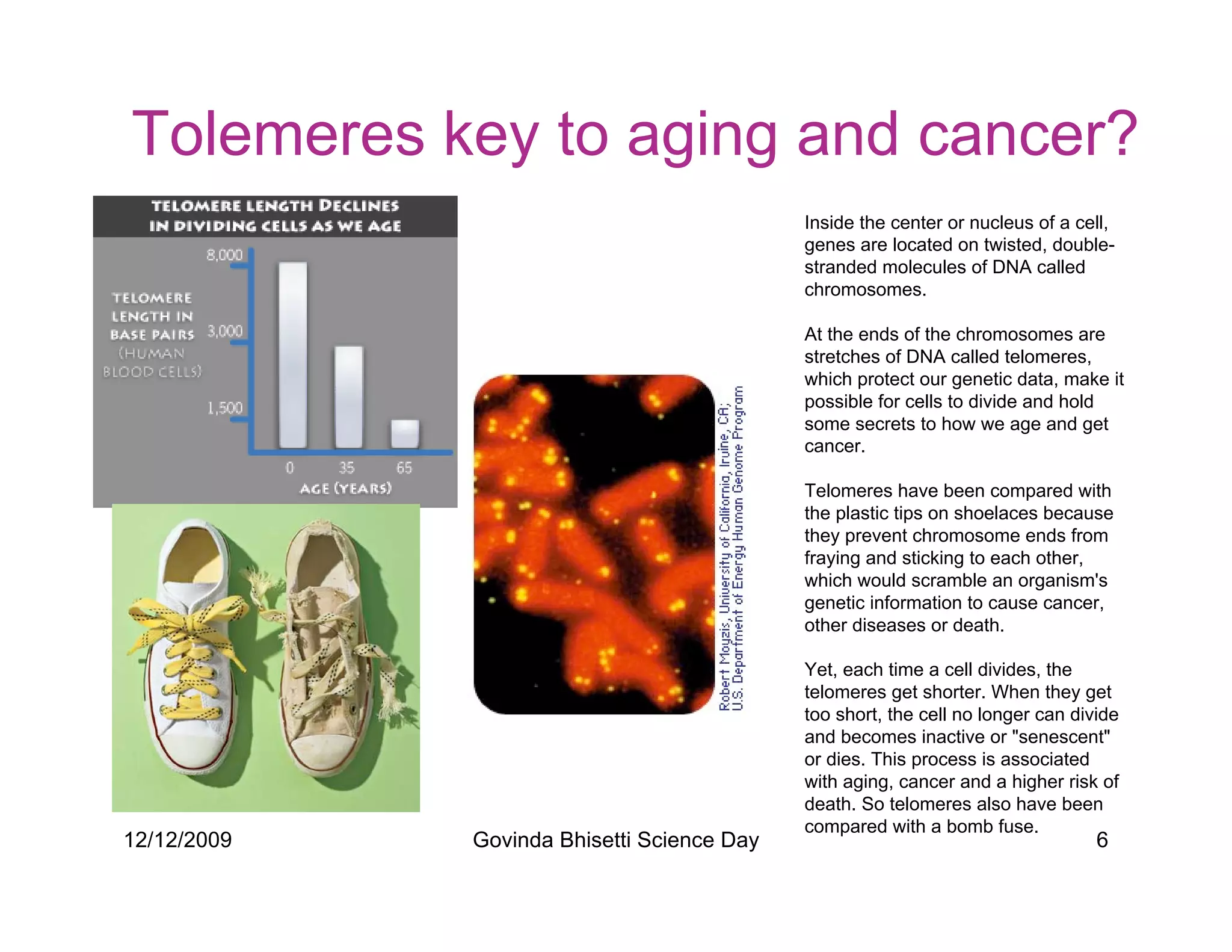 Tolemeres key to aging and cancer?
                                            Inside the center or nucleus of a cell,
                                            genes are located on twisted, double-
                                            stranded molecules of DNA called
                                            chromosomes.

                                            At the ends of the chromosomes are
                                            stretches of DNA called telomeres,
                                            which protect our genetic data, make it
                                            possible for cells to divide and hold
                                            some secrets to how we age and get
                                            cancer.

                                            Telomeres have been compared with
                                            the plastic tips on shoelaces because
                                            they prevent chromosome ends from
                                            fraying and sticking to each other,
                                            which would scramble an organism's
                                            genetic information to cause cancer,
                                            other diseases or death.

                                            Yet, each time a cell divides, the
                                            telomeres get shorter. When they get
                                            too short, the cell no longer can divide
                                            and becomes inactive or senescent
                                            or dies. This process is associated
                                            with aging, cancer and a higher risk of
                                            death. So telomeres also have been
                                            compared with a bomb fuse.
12/12/2009   Govinda Bhisetti Science Day                                        6
 