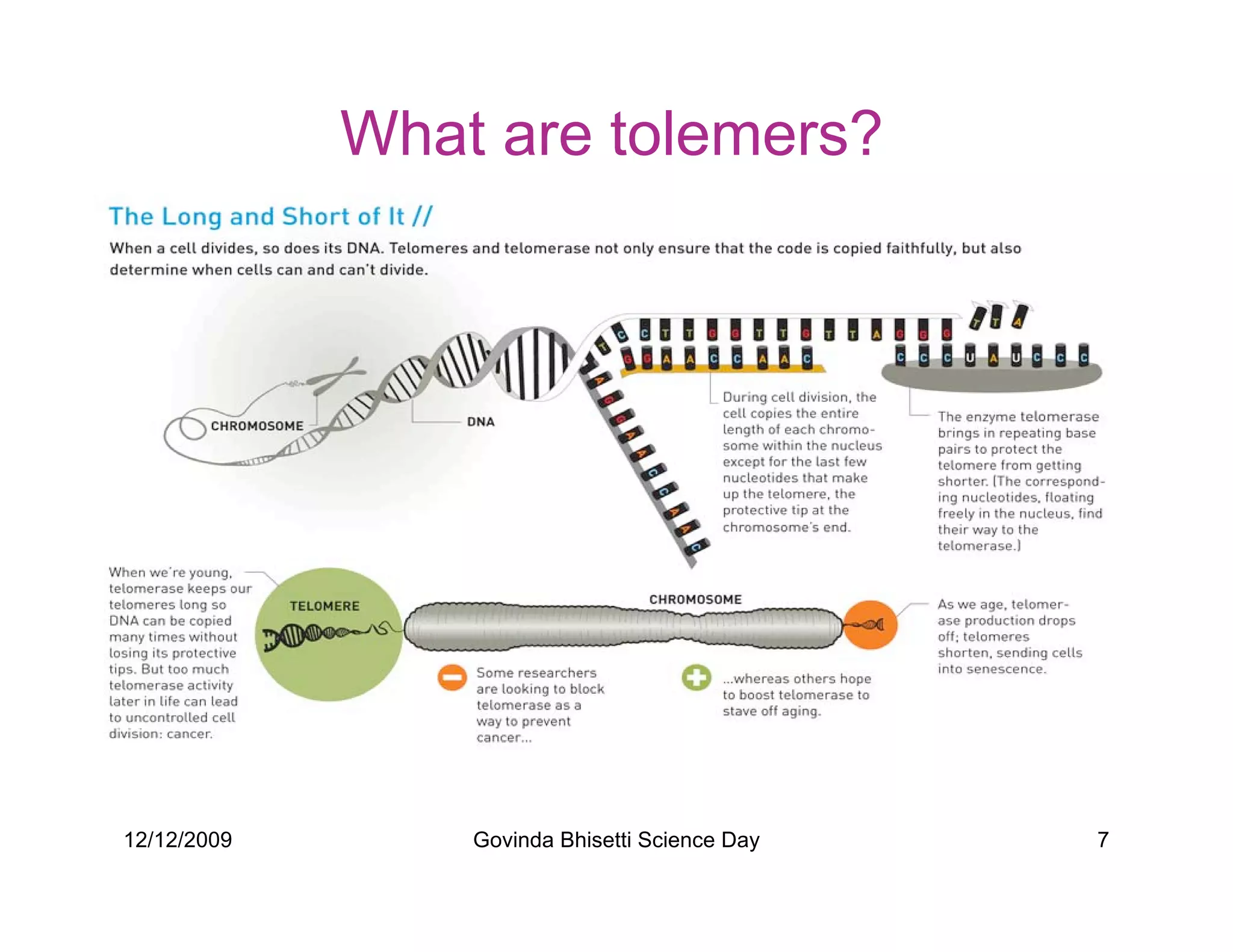 What are tolemers?




12/12/2009       Govinda Bhisetti Science Day   7
 