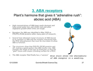 3. ABA receptors
     Plant’s harmone that gives it “adrenaline rush”:
                  abcisic acid (ABA)
•   High concentrations of ABA keep seeds dormant and
    help curtail water loss and inhibit root and other
    vegetative growth when times are tough.

•   Receptors for ABA was identiﬁed in May 2009 as
    PYR/PYL/PCAR proteins (after many years of research).

•   Several have obtained crystal structures of ABA bound
    to its receptor or ABA and the receptor interacting with
    the PP2C phosphatases that must be shut down to allow
    ABA to function.

•   The structures show that PYR/PYL/RCAR proteins pair
    off, making a gated pocket that ABA nestles into. ABA
    changes the shape of the pair of molecules so that the
    gate closes and creates a binding surface for a PP2C.

•   The ABA receptor ﬁled ﬁnally has a “success”
                                                   Blue stain shows the whereabouts
                                                   of ABA receptor in a seedling.

12/12/2009                       Govinda Bhisetti Science Day                  27
 