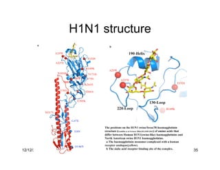 H1N1 structure




12/12/2009     Govinda Bhisetti Science Day   35
 