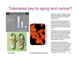 Tolemeres key to aging and cancer?
                                            Inside the center or nucleus of a cell,
                                            genes are located on twisted, double-
                                            stranded molecules of DNA called
                                            chromosomes.

                                            At the ends of the chromosomes are
                                            stretches of DNA called telomeres,
                                            which protect our genetic data, make it
                                            possible for cells to divide and hold
                                            some secrets to how we age and get
                                            cancer.

                                            Telomeres have been compared with
                                            the plastic tips on shoelaces because
                                            they prevent chromosome ends from
                                            fraying and sticking to each other,
                                            which would scramble an organism's
                                            genetic information to cause cancer,
                                            other diseases or death.

                                            Yet, each time a cell divides, the
                                            telomeres get shorter. When they get
                                            too short, the cell no longer can divide
                                            and becomes inactive or senescent
                                            or dies. This process is associated
                                            with aging, cancer and a higher risk of
                                            death. So telomeres also have been
                                            compared with a bomb fuse.
12/12/2009   Govinda Bhisetti Science Day                                        6
 