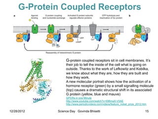 G-Protein Coupled Receptors




                  G-protein coupled receptors sit in cell membranes. It’s
                  their job to tell the inside of the cell what is going on
                  outside. Thanks to the work of Lefkowitz and Kobilka,
                  we know about what they are, how they are built and
                  how they work.
                  A new molecular portrait shows how the activation of a
                  hormone receptor (green) by a small signalling molecule
                  (top) causes a dramatic structural shift in its associated
                  G protein (yellow, blue and mauve)
                  GPCRs in one Minute
                  http://www.youtube.com/watch?v=696maX-V5AE
                  http://www.periodicvideos.com/videos/feature_nobel_prize_2012.htm

12/28/2012   Science Day Govinda Bhisetti                                         15
 