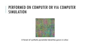 PERFORMED ON COMPUTER OR VIA COMPUTER
SIMULATION

A forest of synthetic pyramidal dendrites grown in silico

 