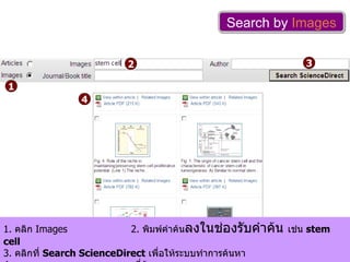 Search by  Images 1 2 4 1.  คลิก  Images  2.  พิมพ์คำค้น ลงในช่องรับคำค้น  เช่น  stem cell 3.  คลิกที่  Search ScienceDirect   เพื่อให้ระบบทำการค้นหา 4.  แสดงรายการภาพ ตาราง ฯลฯ ที่ค้นพบ  3 