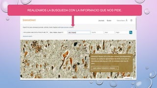 REALIZAMOS LA BUSQUEDA CON LA INFORMACIO QUE NOS PIDE.
 