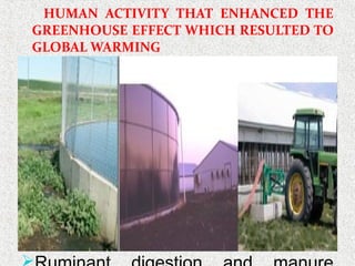 HUMAN ACTIVITY THAT ENHANCED THE
GREENHOUSE EFFECT WHICH RESULTED TO
GLOBAL WARMING
Deforestation
 Land use change
Burning of fossil fuels
Decomposition of waste in the
landfills
Rice cultivation
 