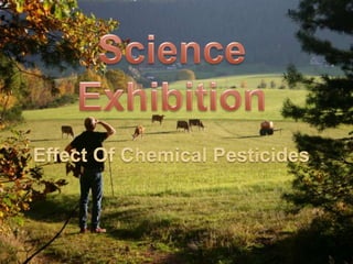 SCIENCE EXHIBITION

   EFFECTS OF CHEMICAL PESTICIDES ON
    ENVIRONMENT
 