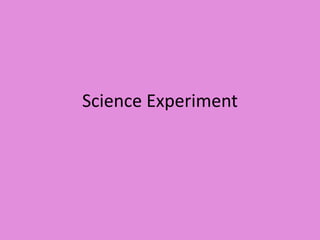 Science Experiment
 