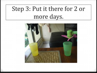 Step 3: Put it there for 2 or
        more days.
 