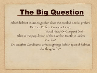 The Big Question
Which habitat in Jude’s garden does the carabid beetle prefer?
              Do they Prefer: Compost Heap,
                           Wood Heap Or Compost Bin?
    What is the population of the Carabid Beetle in Jude’s
                          Garden?
Do Weather Conditions affect sightings?Which type of habitat
                       do they prefer?
 