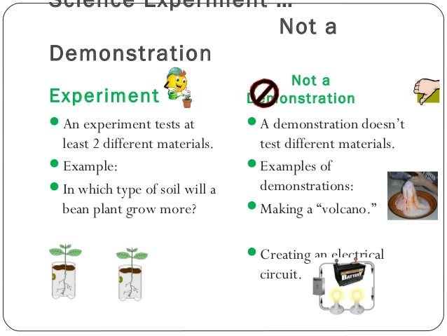 Science experiments examples