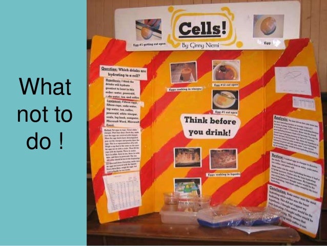 science fair powerpoint