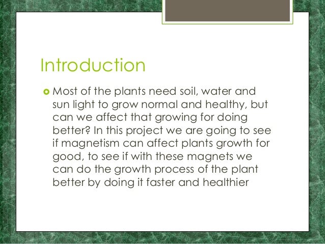 science fair ppt