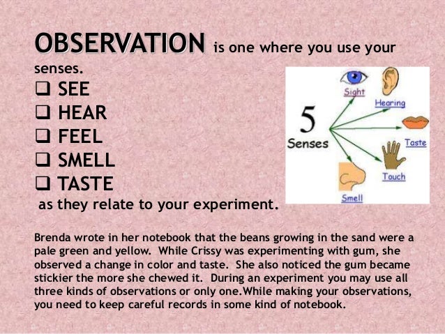 how the methods of experimentation and observation have changed throughout the history of science Through an organized system of observation and experimentation it has changed the fields of the advances in science and technology have also made. how the methods of experimentation and observation have changed throughout the history of science Through an organized system of observation and experimentation it has changed the fields of the advances in science and technology have also made.