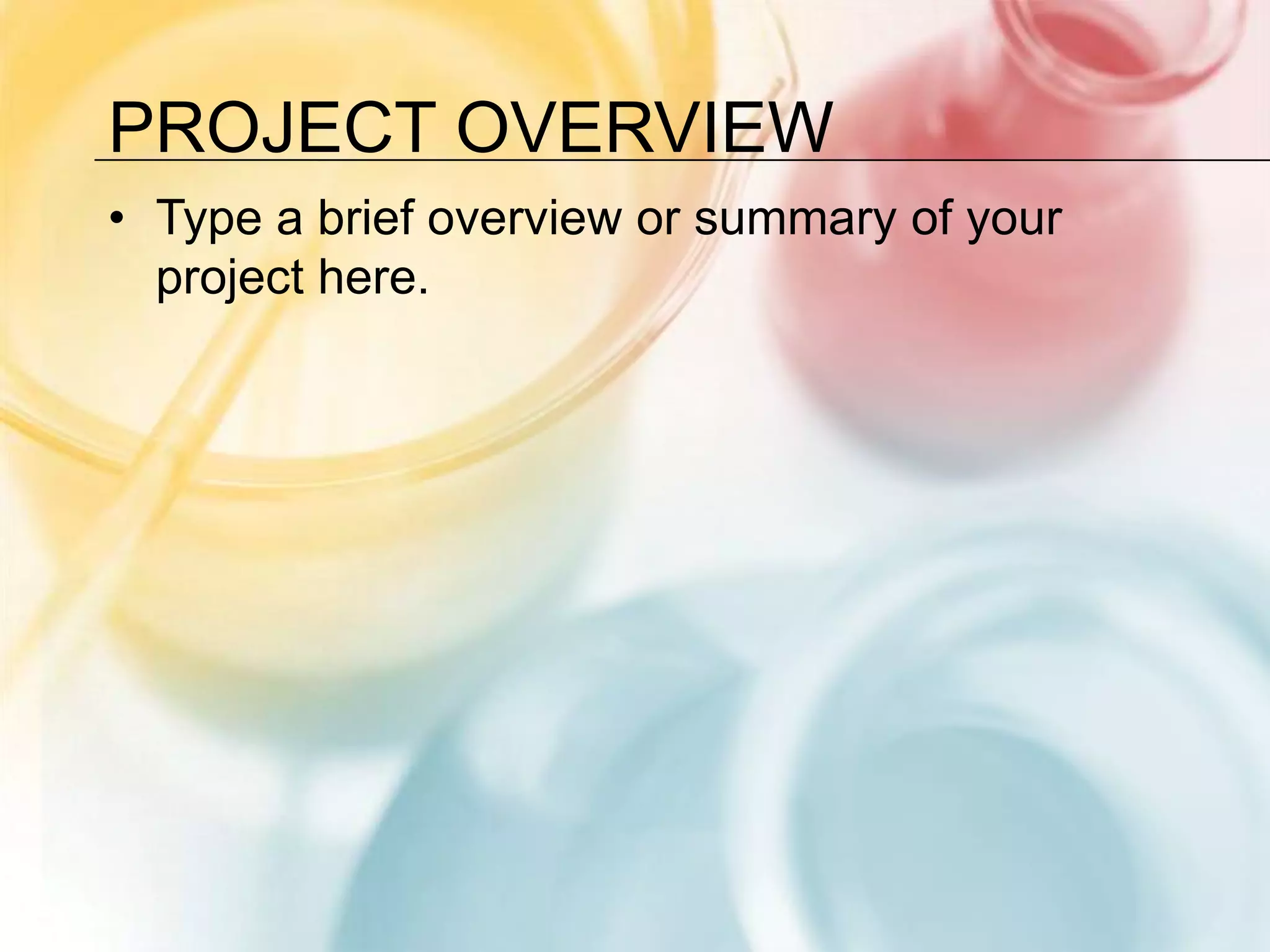 Project OverviewType a brief overview or summary of your project here.