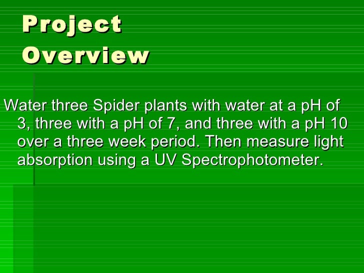 what does a spectrophotometer measure